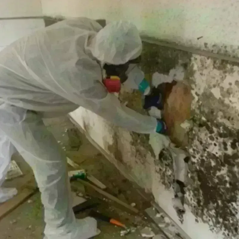 Mold Remediation and Removal in Rogers County, OK