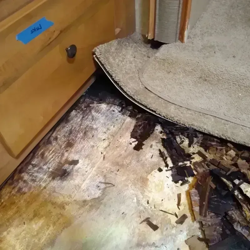 Wood Floor Water Damage in Rogers County, OK